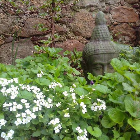 Le Clos De La Source Bed & Breakfast Le Bousquet-d'Orb ภายนอก รูปภาพ