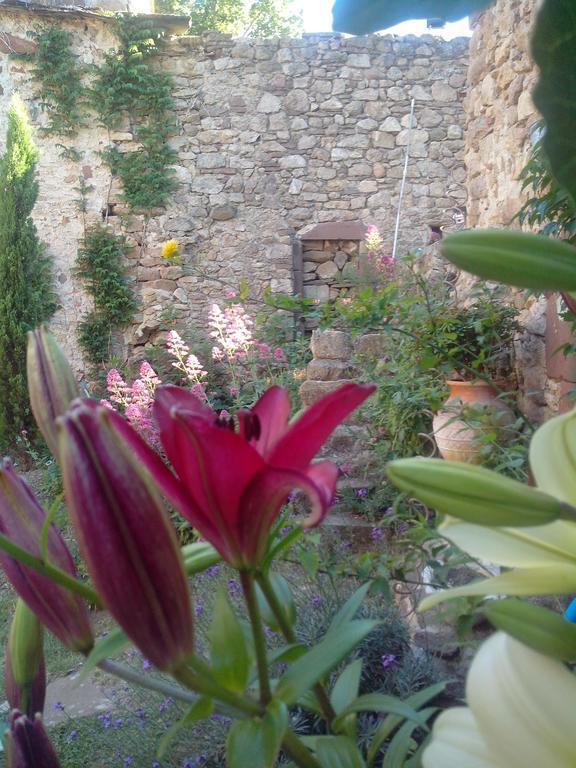 Le Clos De La Source Bed & Breakfast Le Bousquet-d'Orb ภายนอก รูปภาพ